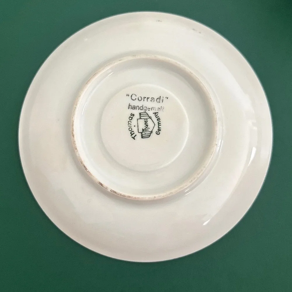 Thomas Germany Fairy Tale Plate Teacup Set Multicolor Excellent Hand Painted